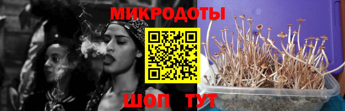 Ярославль  Псилоцибиновые грибы мухоморы  Вход с VPN  Псилоцибиновые грибы ЛСД 