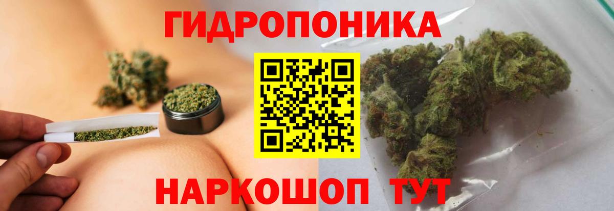 Ярославль  Шишки марихуана конопля  Вход с VPN  Канабис Bruce Banner 